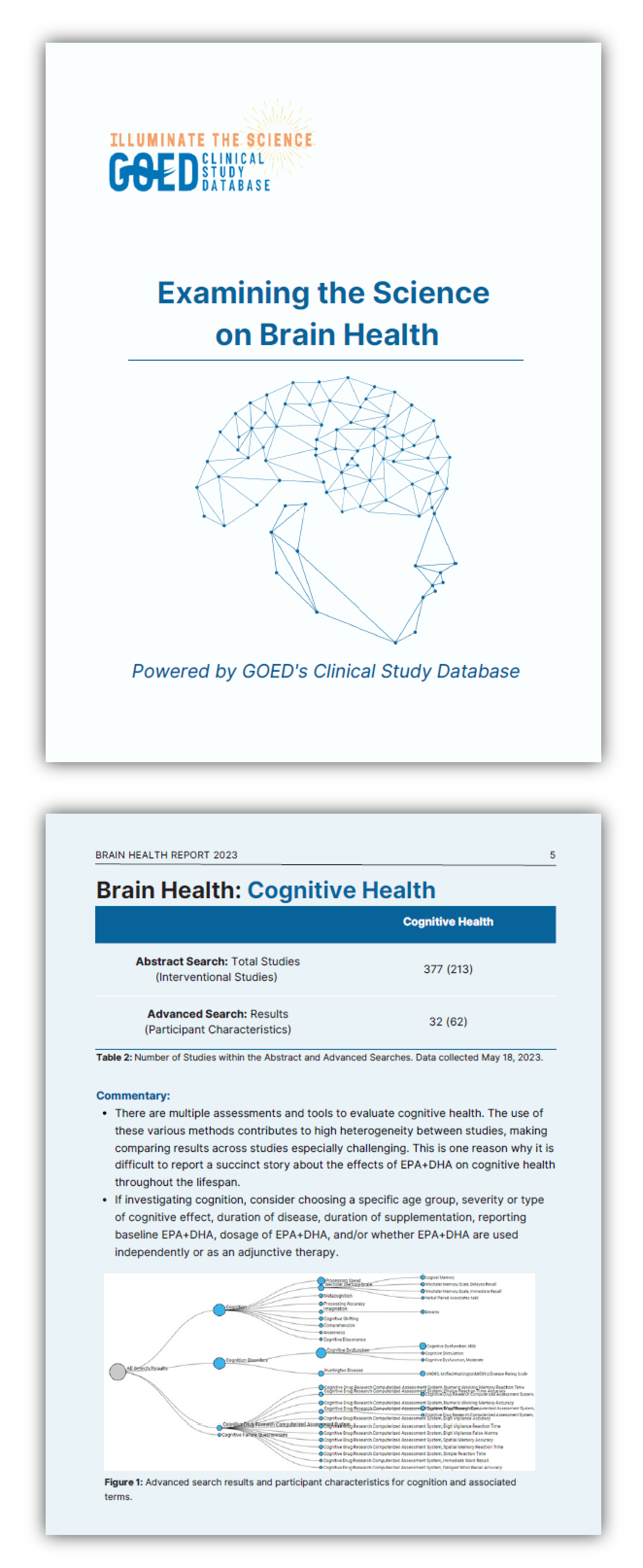 Report EPA+DHA Omega3s and Brain Health